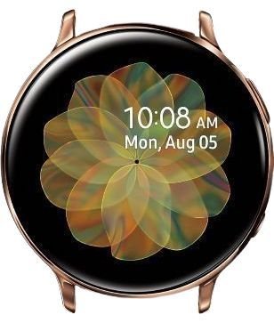 Samsung Galaxy Watch Active2 (No Band)
